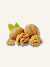 Walnut Kernels | Snow White