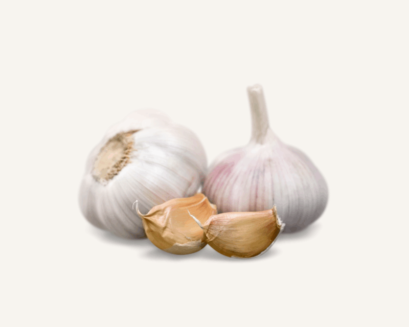 Mountain Garlic